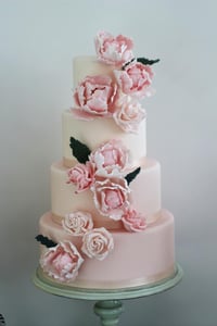 pink_cake__large.jpg